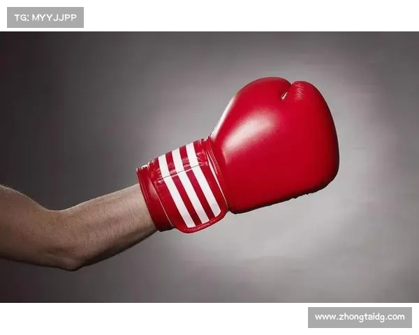 拳击比赛赛制与节目内容评估方法探讨及优化建议